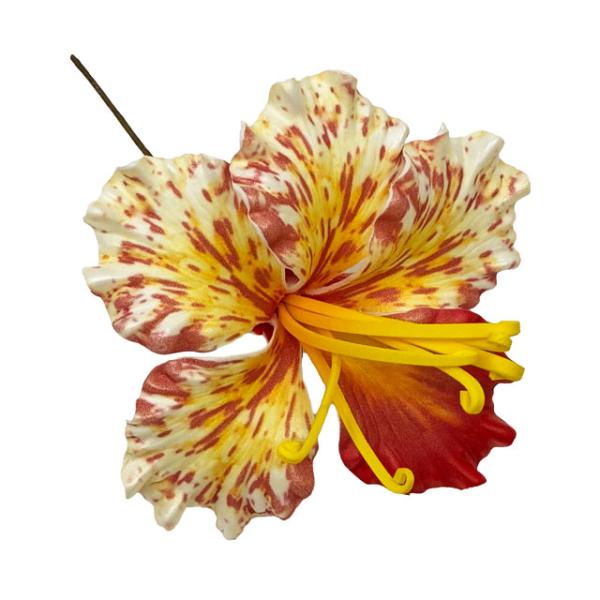 素材 ■ウレタン  サイズ ■約10cm  商品について ■入荷時期で色が変わったりもします。御了承下さい。 在庫について ■本店でも販売しております。■在庫数は確認しておりますが売り切れてしまう場合もございます。■その際は改めてご連絡いた...