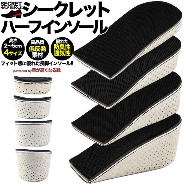 V[NbgC\[ IׂS^Cv 2cmAbv 3cmAbv 4cmAbv 5cmAbv V[NbgC\[ŃV[NbgV[Y in-20