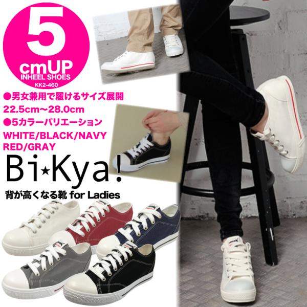 V[NbgV[Y  5cmAbv Xj[J[ V[NbgXj[J[ V[NbgV[Y fB[XV[Y fB[XXj[J[ kk2-460-w