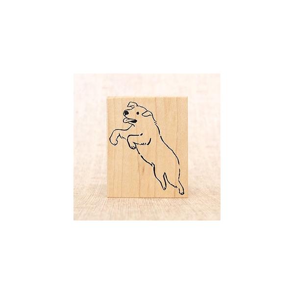 S͂ o[X^v SX^v  ac^Rq  c52mm×38mm (0041E-5543) 蒠 XPW[ ӂ鉮