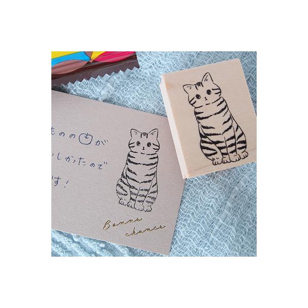 S͂ ac^Rq o[X^v AJV[gwA[ c34.8mm×18mm (0172B-4030) 蒠 XPW[ ӂ鉮