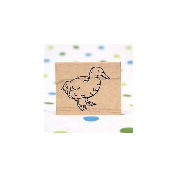 S͂ o[X^v SX^v  Ԃ Aq c33.5mm×36.5mm (0026C-4048) 蒠 XPW[ ӂ鉮