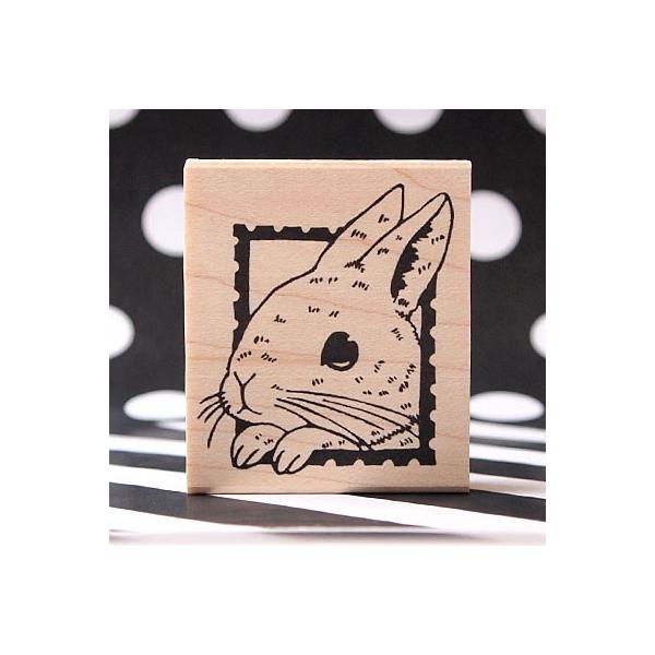 S͂ o[X^v SX^v  Ԃ  c41.5mm×36.5mm 蒠 XPW[ ӂ鉮