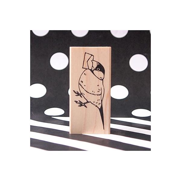 S͂ o[X^v SX^v  Ԃ 莆ƕ c48mm×22mm 蒠 XPW[ ӂ鉮