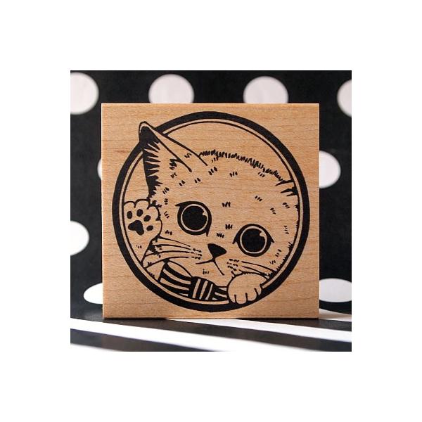 S͂ o[X^v SX^v  Ԃ qL c56mm×55mm 蒠 XPW[ ӂ鉮