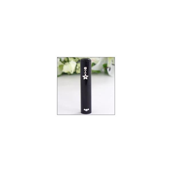  ͂ s F  nR  ӃP[Xt X^[  12mm×60mm ӂ鉮