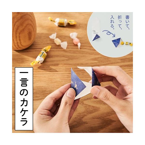 Tr[ ꌾ̃JP 15 S5F t TJP  ӂ t q  G  ӂ鉮