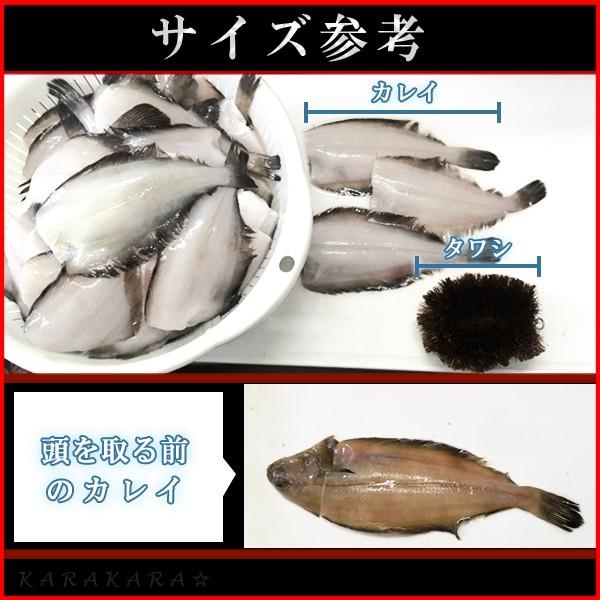 カレイ５枚 生魚 唐揚げ用 下処理済み Buyee Buyee Japanese Proxy Service Buy From Japan Bot Online