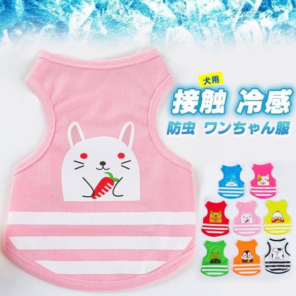 SiPoint10{!ő{50%  h  tt  Aj EFA bV ʋC [