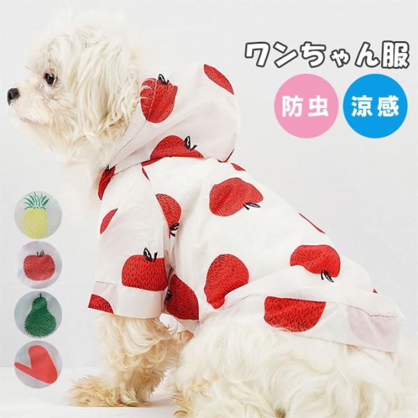 SiPoint10{!ő{50%  h  t ^ N[ t[c  u₩  [