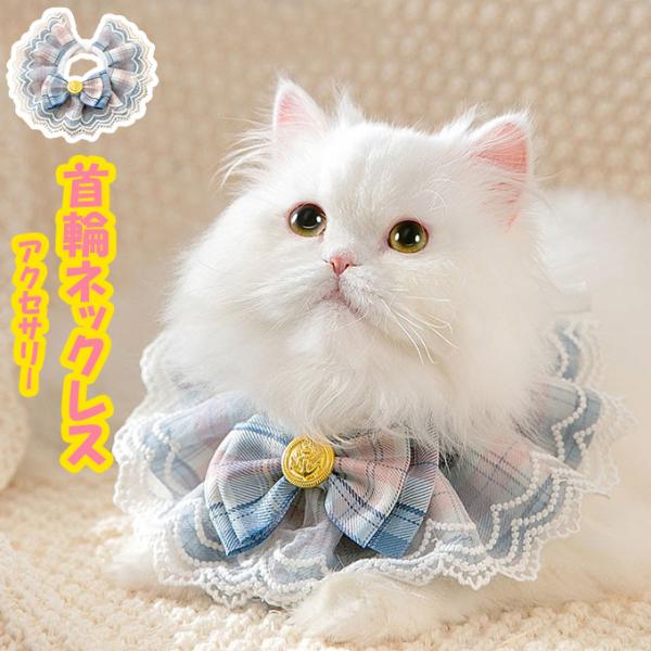 SiPoint10{!ő{42% ybgObY փlbNX ANZT[ L  [Xt  { [