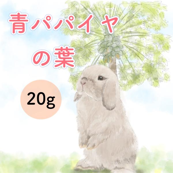 パパイヤの葉（乾燥）小動物フード ウサギ チンチラ モルモット
