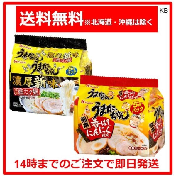 うまかっちゃん 10食セット(熊本香ばしにんにく風味5食＋濃厚新味5食) 計10食