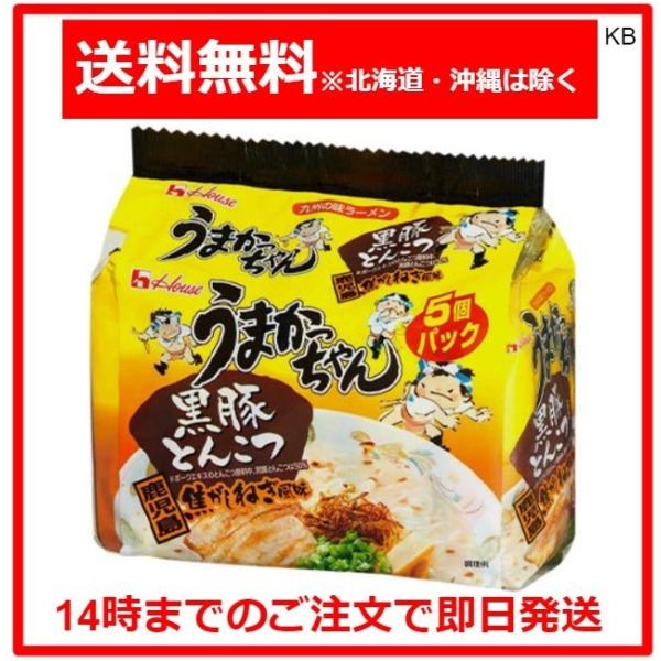 うまかっちゃん 鹿児島黒豚とんこつ 5個パック : Karimero Box - 通販