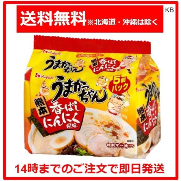 うまかっちゃん 熊本 火の国流とんこつ 香ばしにんにく風味 5個パック i8my1cf Amazon.co.jp: House ハウス うまかっちゃん熊本火の国流とんこつ