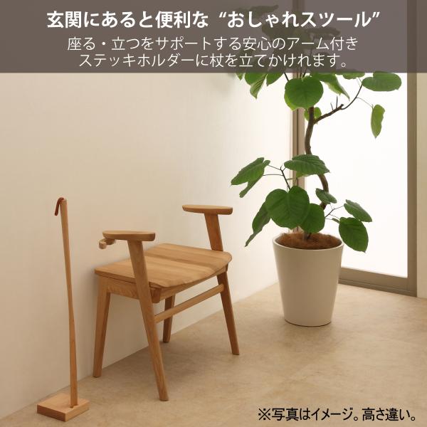 karimokutokuyaku_cu1117_1 karimokutokuyaku_cu1117_1