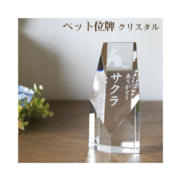 ybg@NX^@ʔv@ybgʔv@I[_[Ch@@ANX^@y^S