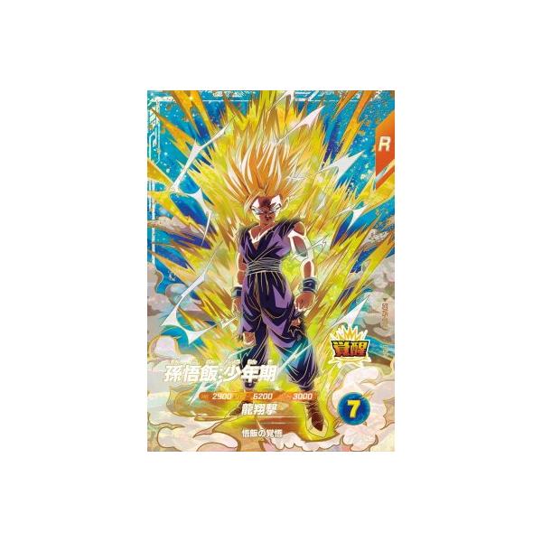 ARS10 ドラゴンボールスーパーダイバーズ SDV5-079 孫悟飯 GDR ARS10 ドラゴンボールスーパーダイバーズ SDV5-079 孫悟飯 GDR PSA10