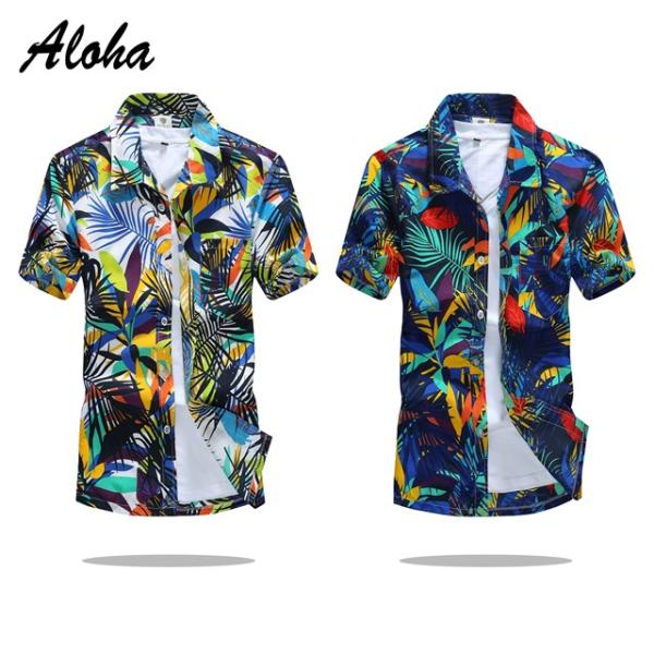 AnVc Y  gbvX 傫TCY rbOTCY אg  nCA ][g   jp  C v[ V̖ st19