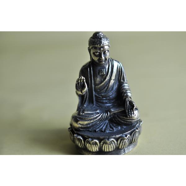 奈良の大仏で有名な毘盧遮那仏のメタル像です真鍮合金製　　タイ製　サイズ：約5.3cm×3.4cm　約93gスケールはあくまで目安としてお考えください パソコンの環境などにより写真と実物の商品の色合いが違って見える場合があります製造過程におけ...