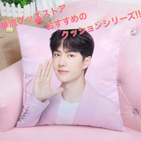 karyu-goods-store_cushion-