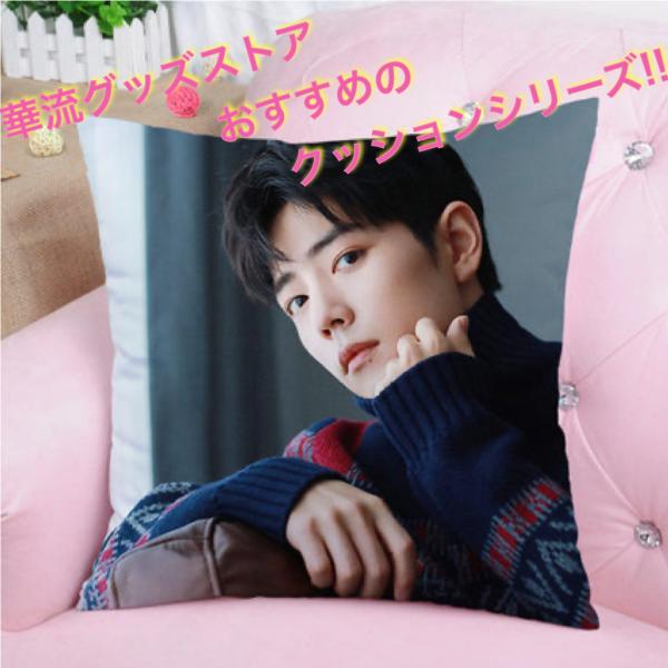 博肖です❣️加厚 XLサイズ　王一博 肖戦 50×50cm クッションカバー 博肖です❣️加厚 XLサイズ 王一博 肖戦 50×50cm クッションカバー