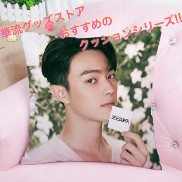 中国俳優シューカイ(許凱)のプリントクッション！ : 華流グッズストア