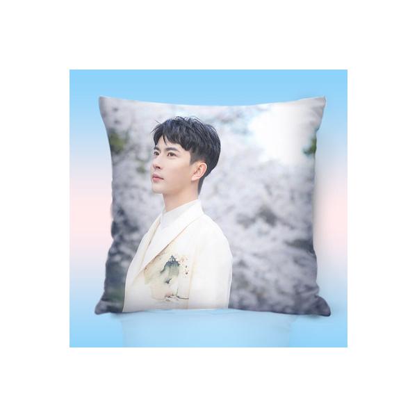 中国俳優アランユー(于朦朧)のプリントクッション！ : 華流グッズ  