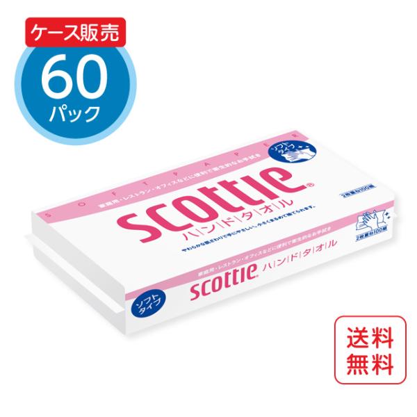他サイト： ペーパータオル スコッティ ハンドタオル100 200枚（100組）x60パック  ケース販売の商品画像