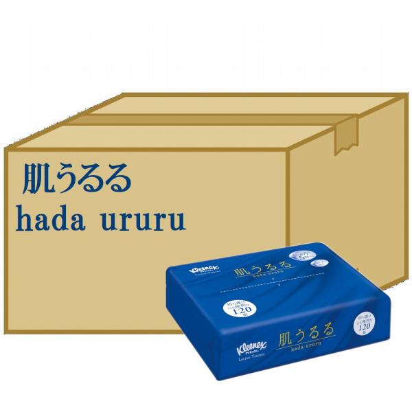ケース販売　 Kleenex/クリネックス ローション 肌うるるソフトパック １２０組(２４０枚)　24パック入り　