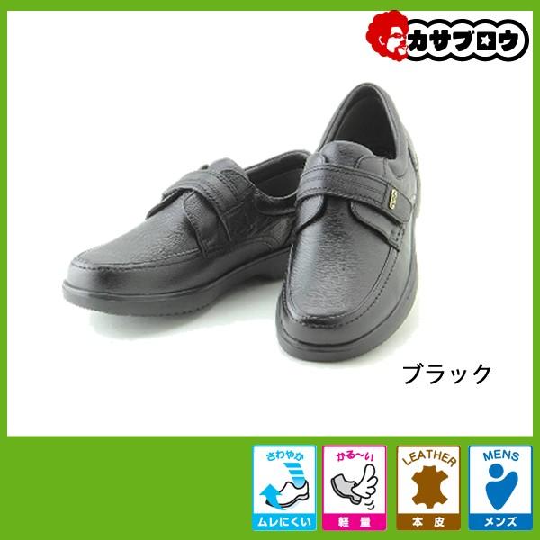 VjA җp C EH[LOV[Y JWAV[Y tH[}V[Y {v VeB[St am Y city Golf GF904 vC y 4E