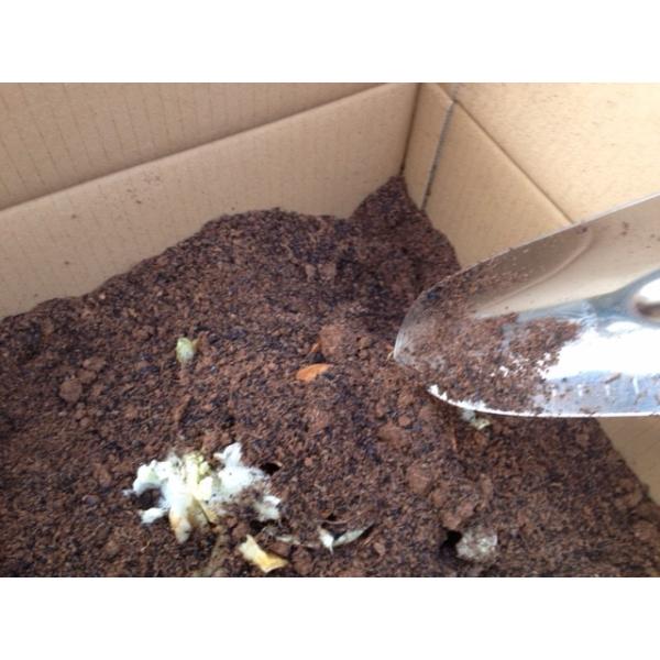 ダンボールコンポスト ダンボール箱 基材 助成対象 生ごみを堆肥に変える 環境にやさしい 簡単 低価格 Buyee 日本代购平台 产品购物网站大全 Buyee一站式代购 Bot Online