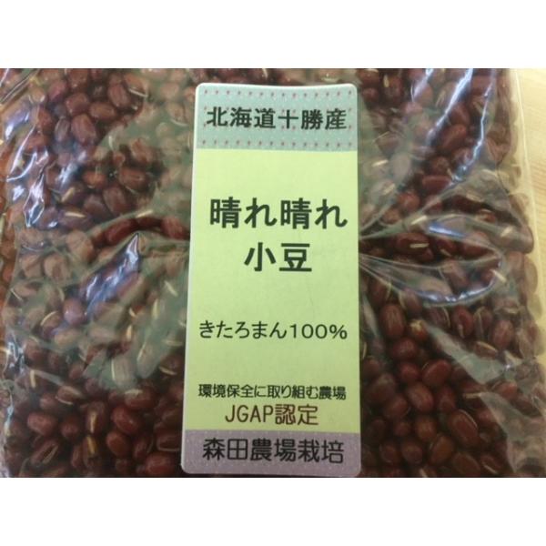 北海道あずき「きたろまん」あく抜き不要 新開発小豆 森田農場 十勝産