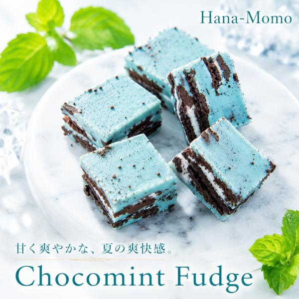 菓子工房華もも 送料無料 チョコミントファッジ400g チョコレート 菓子