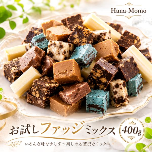 菓子工房華もも　送料無料　お試しファッジランダムミックス400g　菓子　スイーツ　チョコ　ギフト　チョコミント　キャラメル　2026　お中元　誕生日