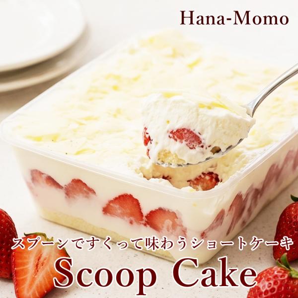 菓子工房華もも　送料無料　スコップケーキ仕立てのショートケーキ17cmホール　5号　いちご　生クリーム　　2026　スイーツ　父の日　お中元　誕生日