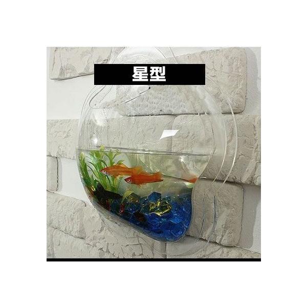 アクアリウム 壁掛け 魚が飼える インテリア 水槽 金魚鉢 Kz Wallaqua 予約 Buyee Buyee Japanese Proxy Service Buy From Japan Bot Online