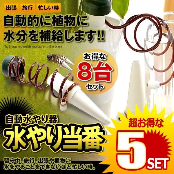 16Zbg ϗtA    Aؔ ϗtA 璆 s | ~ h{⋋  TCtH ϋv 蓖 8-MIZUTOUBAN