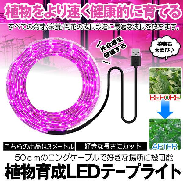 5Zbg A琬Cg 3 USB LEDe[vCg USBd ƕs Ai  A Cg k͔| ϗtA 琬   SODATU