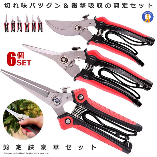 6Zbg ΂ K[fjO nT~ }؂ |͂ XeX nhbN |p A ؂₷   ƒ؉ }؂͂ GARDSCISET