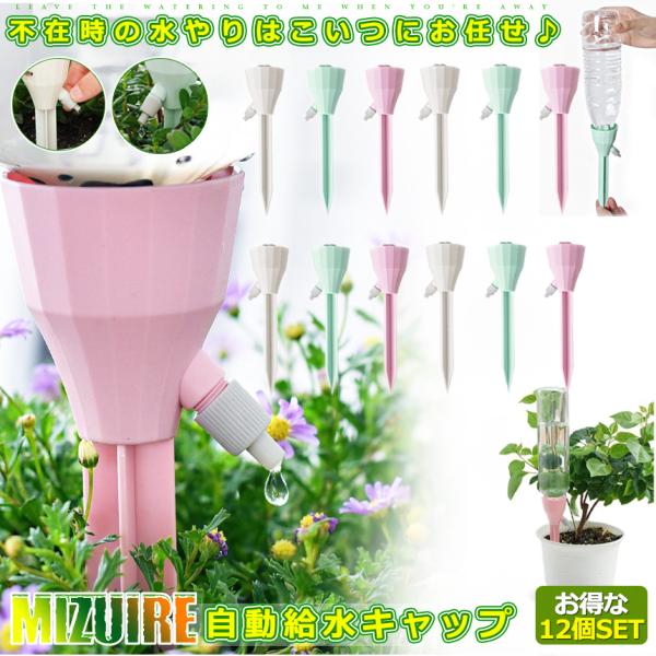 12Zbg  ϗtA Lbv   Aؔ A 璆 | ~ h{  ybg{g  K[fjO 6-MIZUIRE