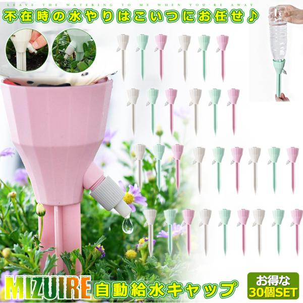 30Zbg  ϗtA Lbv   Aؔ A 璆 | ~ h{  ybg{g  K[fjO 6-MIZUIRE