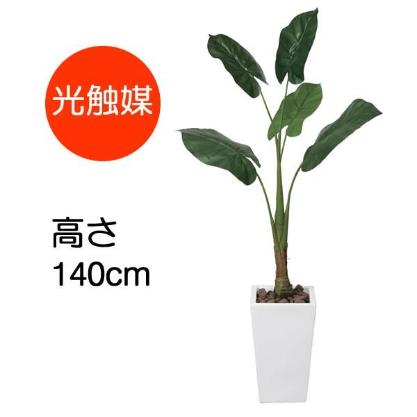 観葉植物 おしゃれ 大型 くわず芋 1 4m クワズイモ ポリ製 バリ島 インテリア フェイク 造花 鉢 おしゃれ オフィス ロビー バリ 南国 雑貨 代金引換不可 133e370 24 コスチュームで仮装大賞 通販 Yahoo ショッピング