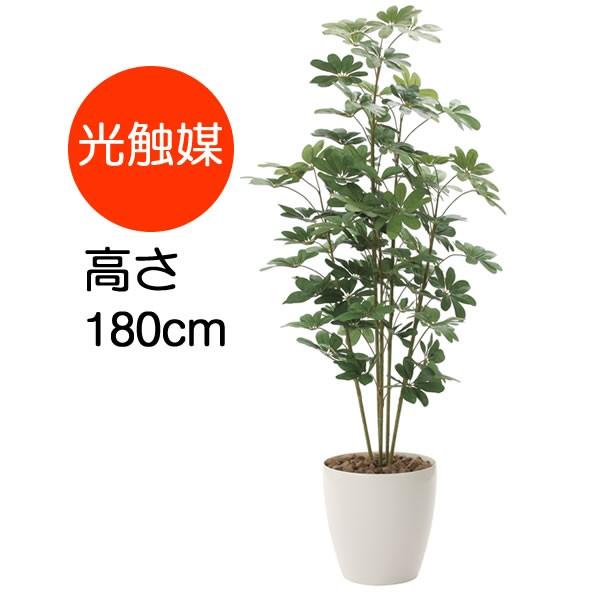 観葉植物 おしゃれ カポック 大型 1 8m ポリ製 インテリア フェイク 造花 鉢 おしゃれ オフィス ロビー 代金引換不可 158e3 38 コスチュームで仮装大賞 通販 Yahoo ショッピング