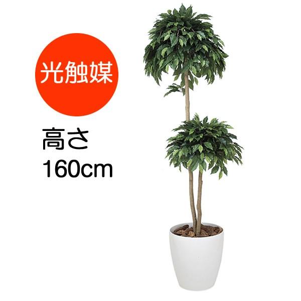 観葉植物 おしゃれ 大型 ベンジャミン ダブル 1 6m ポリ製 インテリア フェイク 造花 鉢 おしゃれ オフィス ロビー 代金引換不可 168a300 30 コスチュームで仮装大賞 通販 Yahoo ショッピング