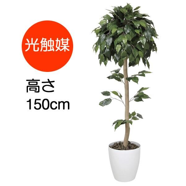 観葉植物 おしゃれ ベンジャミン トピアリー 1 5m ポリ製 インテリア フェイク 造花 鉢 おしゃれ オフィス ロビー ハワイ 南国 雑貨 代金引換不可 373b240 30 コスチュームで仮装大賞 通販 Yahoo ショッピング