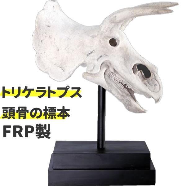 レジン スカルオブジェ ダイナソー 置物 オーナメント アンティーク 恐竜 レジン スカルオブジェ ダイナソー 置物 オーナメント