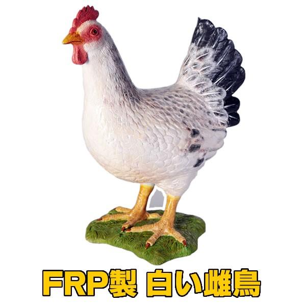 ニワトリ 置物 にわとり オブジェ 鶏 メス ディスプレー オーナメント グッズ 代金引換不可 ディスプレイ Frp制 リアル 白い雌鳥 Hen White Fr コスチュームで仮装大賞 通販 Yahoo ショッピング