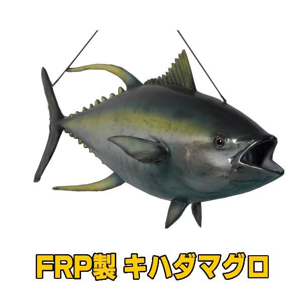 マグロ 置物 魚 オブジェ ディスプレイ オーナメント 代金引換不可 Frp制 リアル 動物オブジェ 海 キハダマグロ イエローフィンまぐろ Yellowfin Tuna Fr コスチュームで仮装大賞 通販 Yahoo ショッピング