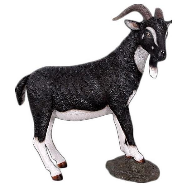 ヤギ グッズ 置物 黒ヤギ オーナメント インテリア ディスプレー 代金引換不可 ディスプレイ Frp制 リアル 実物大 オス Frbw お祭りコム Tシャツ 無地 プリント 通販 Yahoo ショッピング
